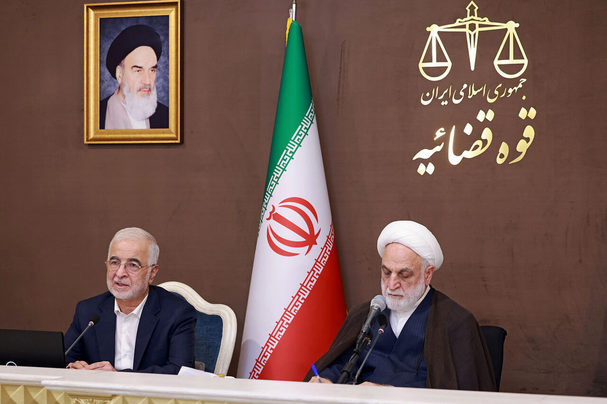 اژه‌ای: قانون باید برای همگان فصل‌الخطاب باشد