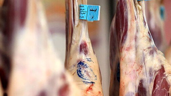 افزایش قیمت گوشت در بازار آزاد | توزیع گوشت یارانه ای یخی در میادین میوه و تره‌بار