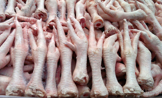 پای مرغ بخوریم یا نخوریم؟