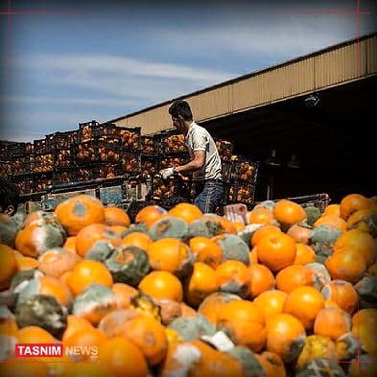 ۳۰۰ کانتینر میوه در مرز آذربایجان در بهمنماه فاسد شد
