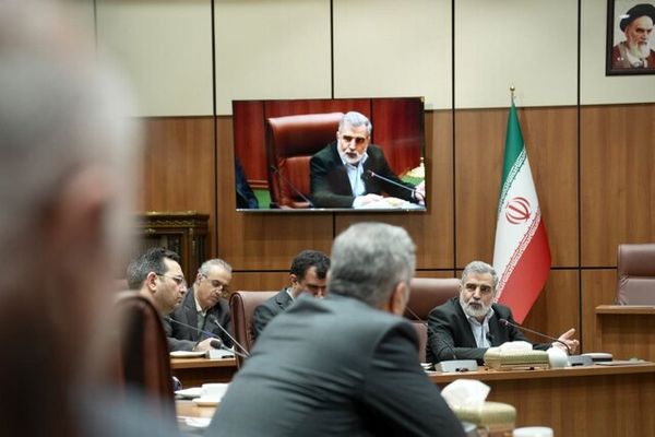کمالوندی: باید به نگرش نخبگان به موضوع فناوری هسته‌ای توجه ویژه داشته باشیم