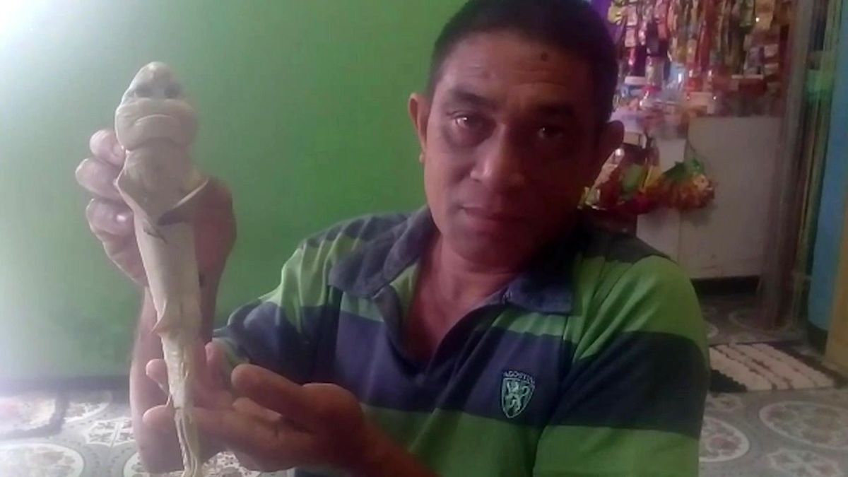 بچه کوسه‌ای شبیه انسان + عکس