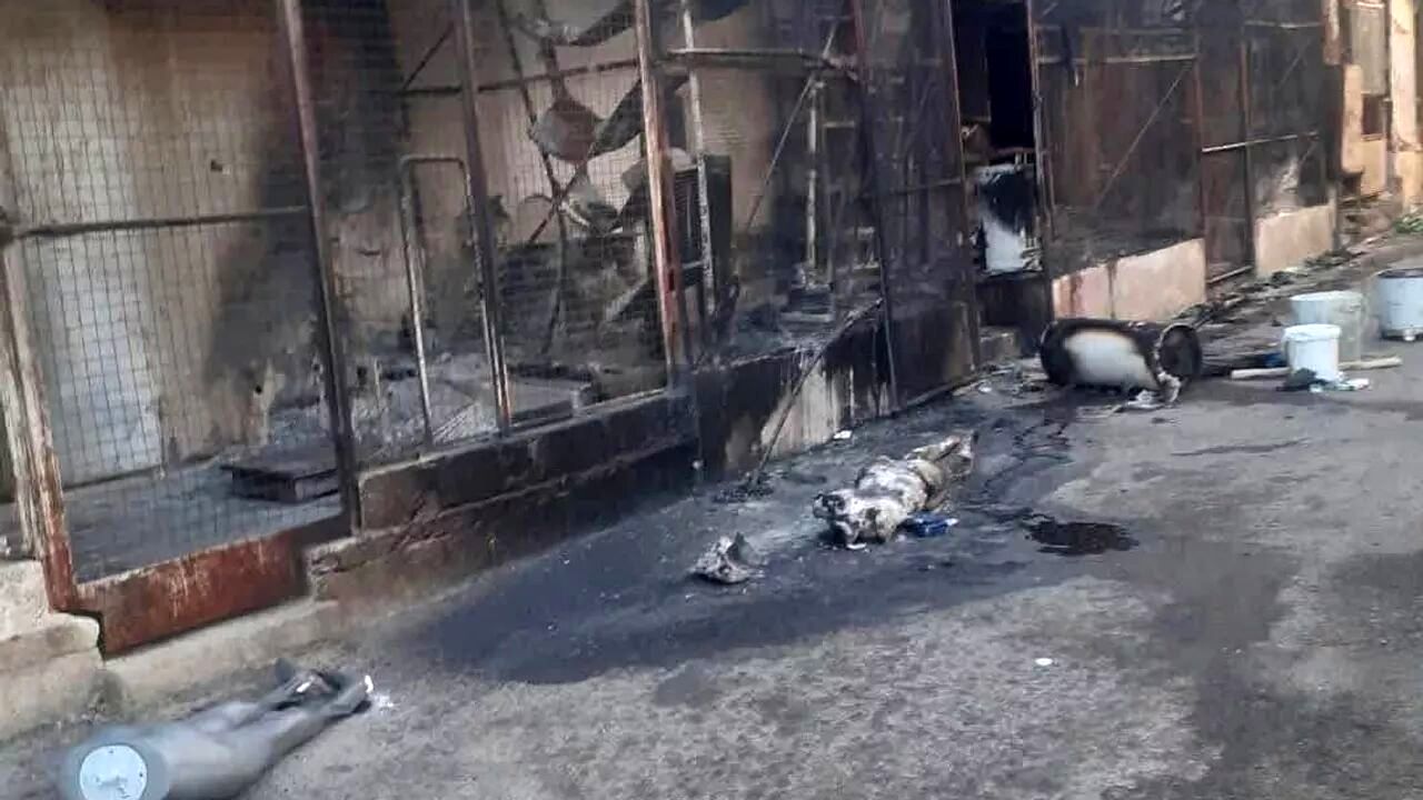 بازگشت درگیری‌ها به السویداء سوریه