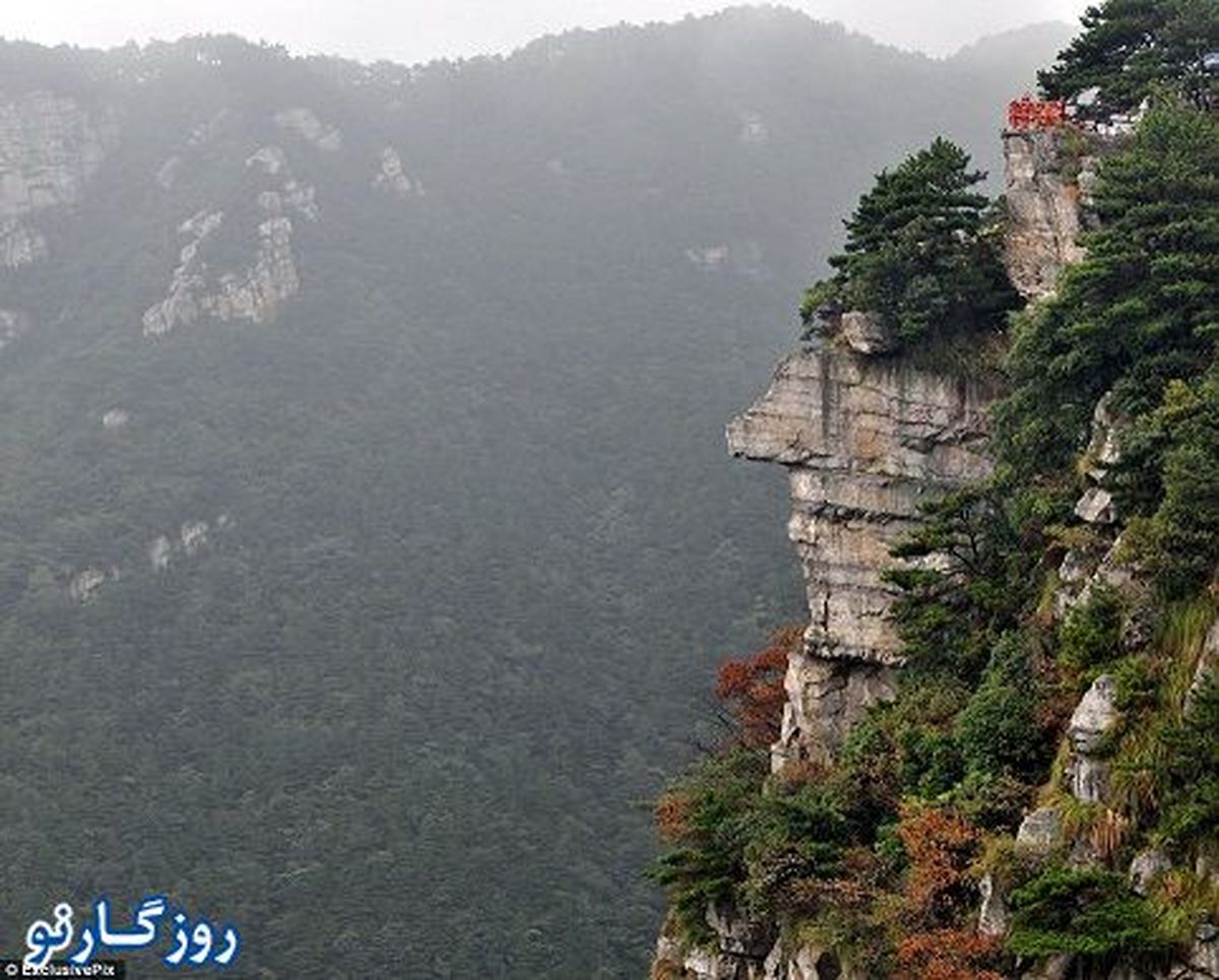 یک نام انتخاب کنید،کلی جایزه بگیرید!/عکس