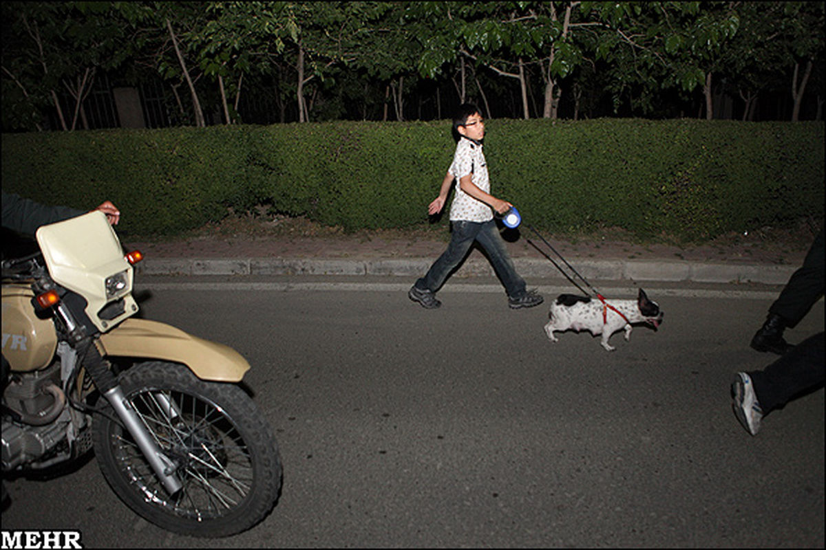 تصاوير/برخوردبارانندگان‌بدحجاب‌و سگ‌گردانی