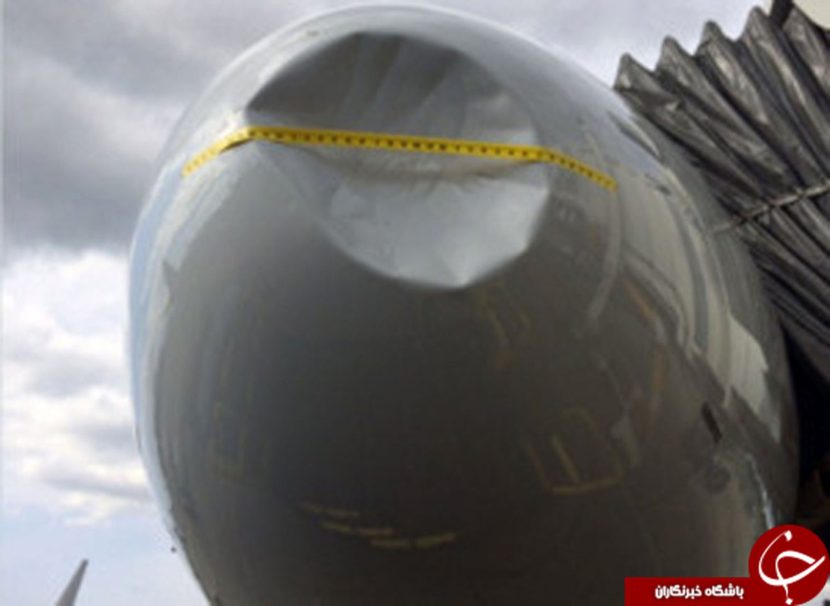 پرنده ای که هواپیما را اوراق کرد! +عکس