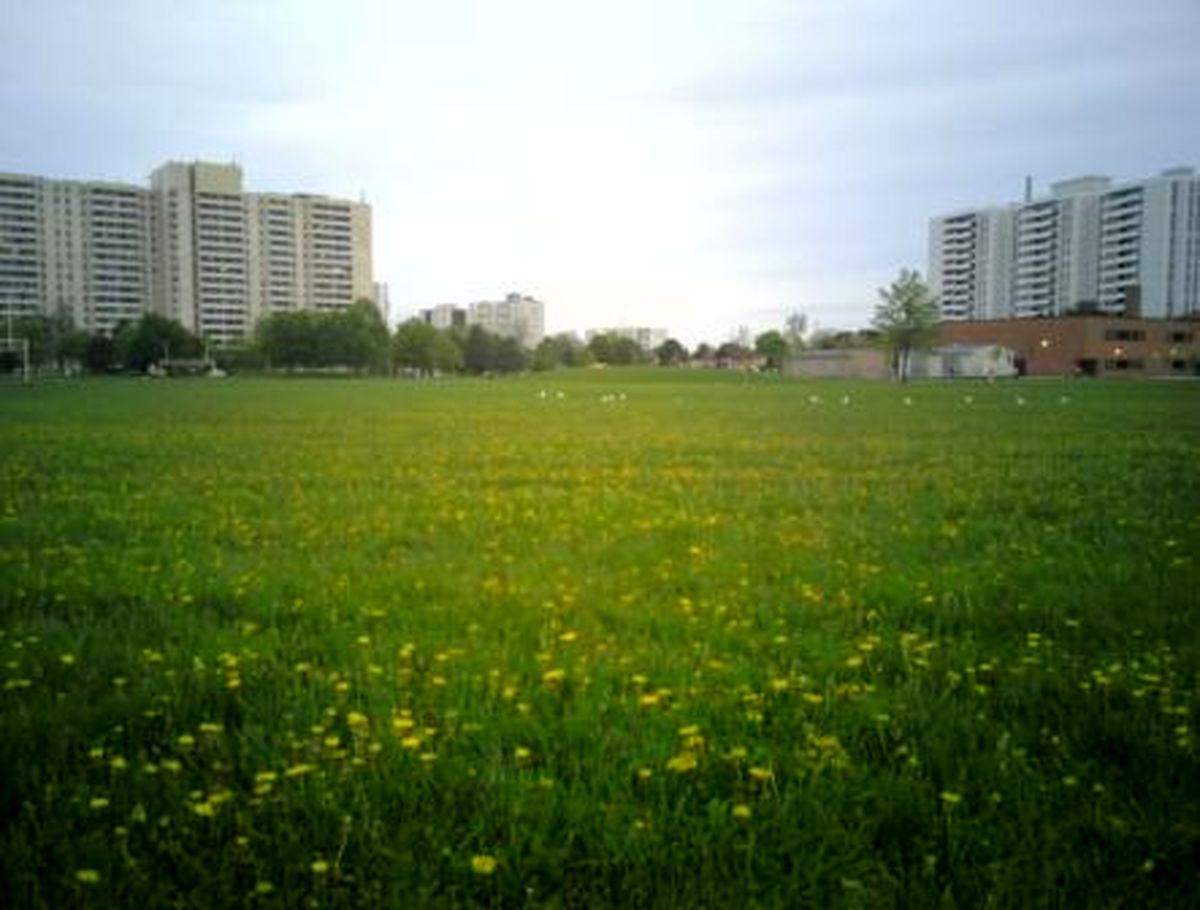 مقایسه معنی دار بین اجاره خانه در تهران و تورنتو