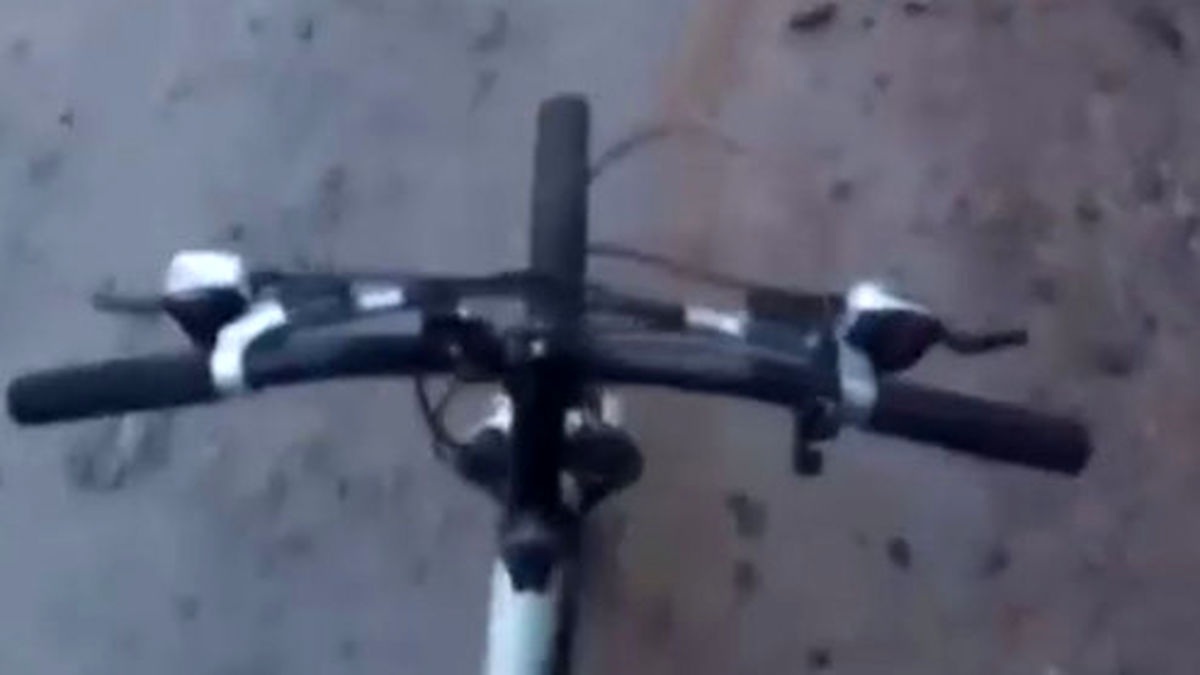 تعقیب یک دوچرخه سوار توسط خرس قهوه‌ای پربیننده شد +فیلم