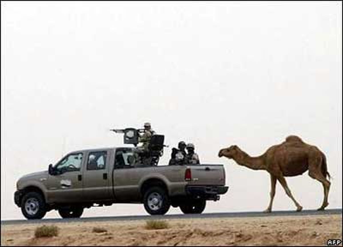تصویر: شتر در تعقيب خودروي نظامي