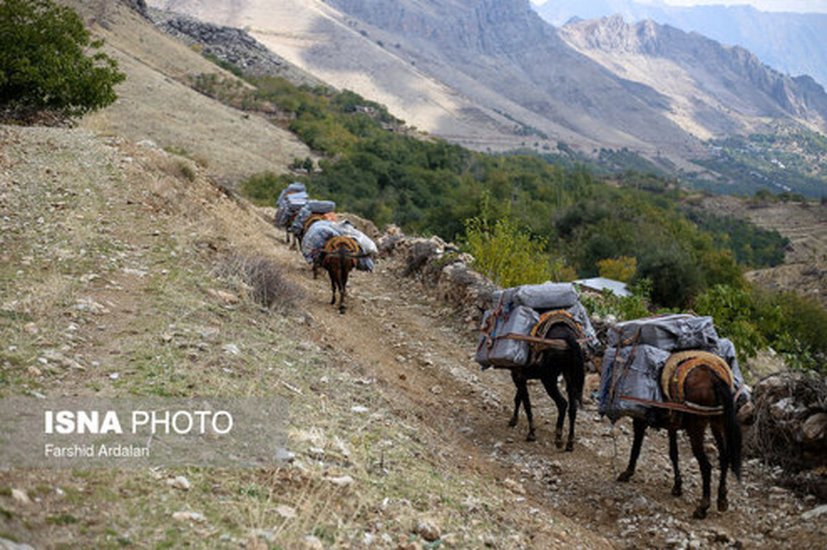 تصاویر: رفت و آمد کولبران در دل کوهستان