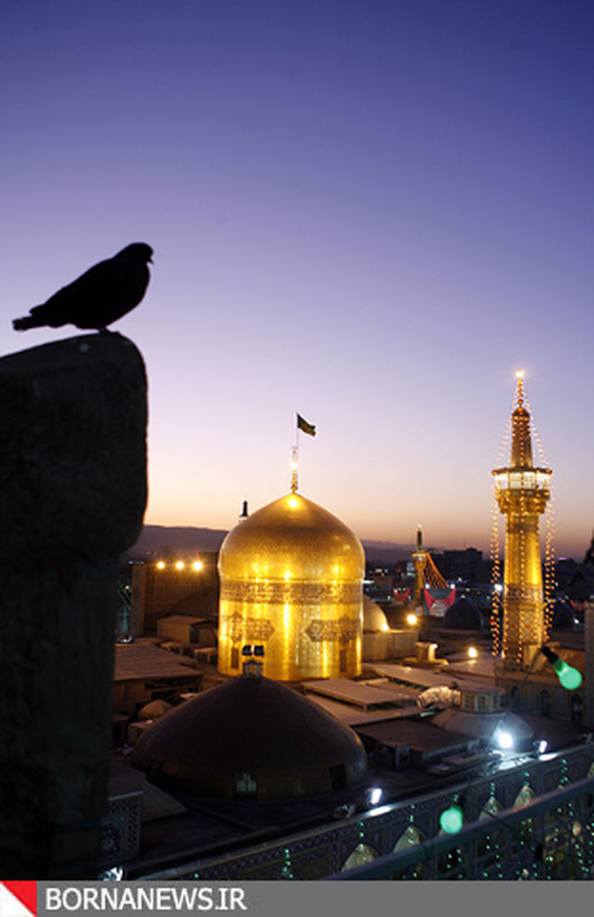 عکس/ جایی ننوشتند گنه کار نیاید