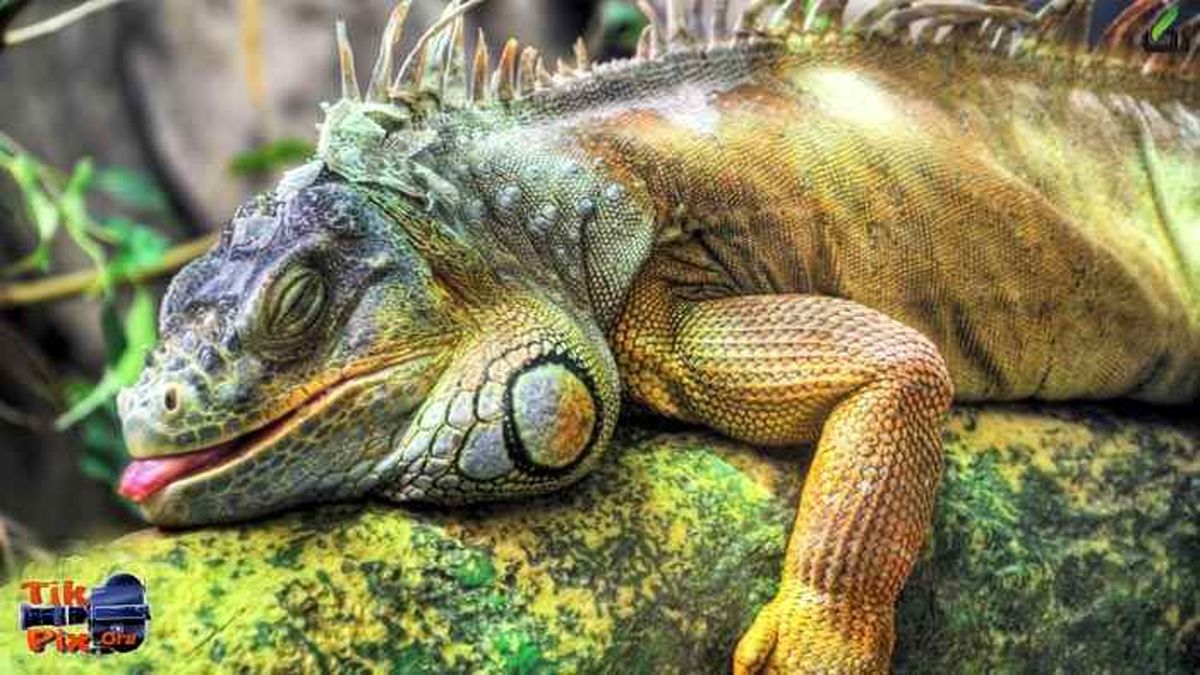 خیلی خسته م/عکس