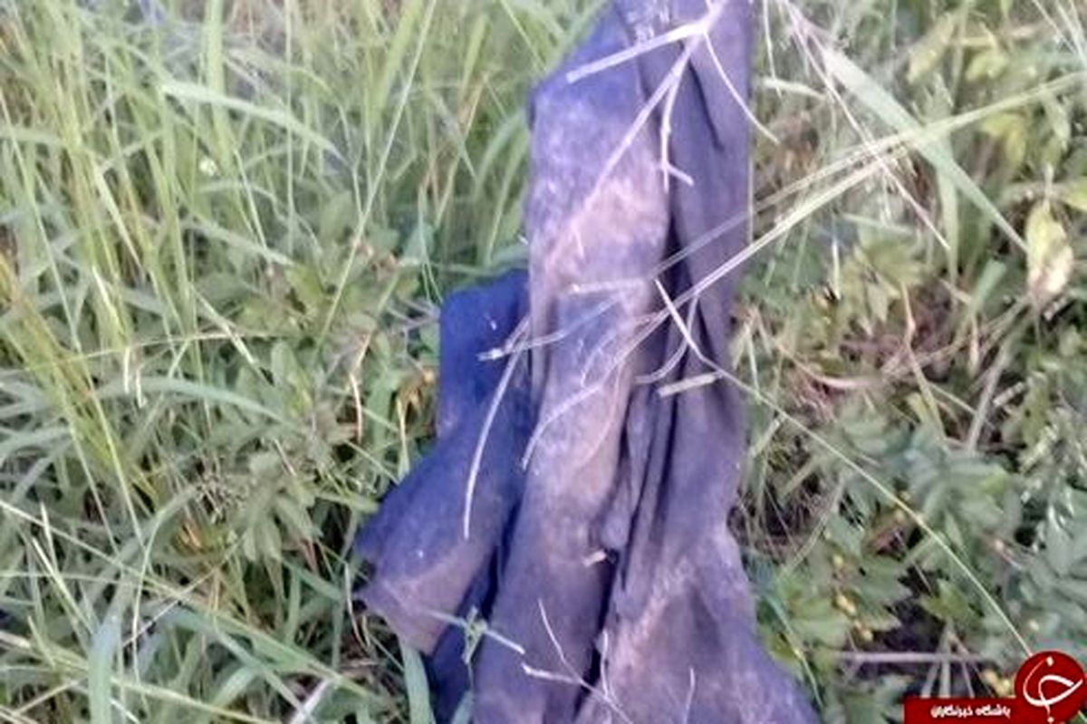 شیرها شکارچی غیرمجاز کرگدن را تکه تکه کردند +عکس