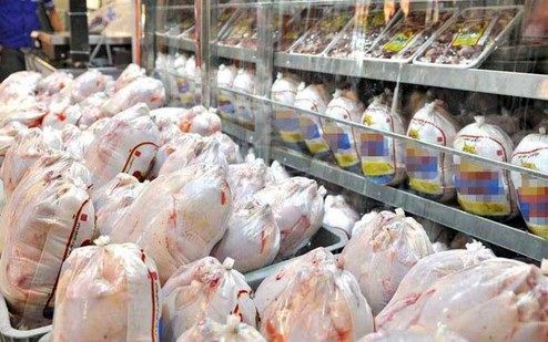 نرخ هر کیلو مرغ ۱۳ هزار تومان شد