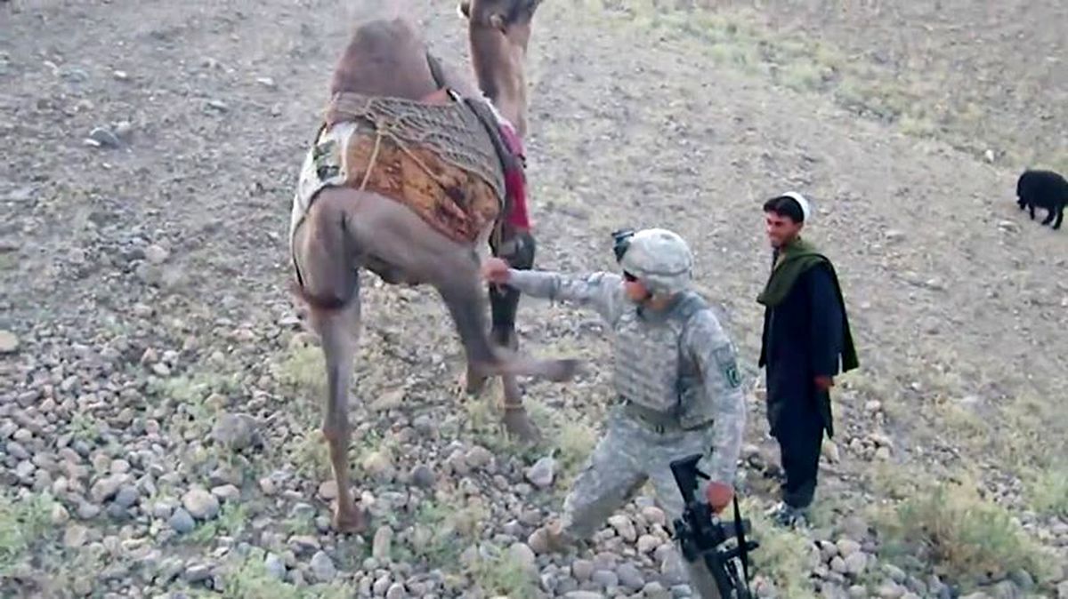 عاقبت‎ شوخی سرباز آمریکایی با شتر طالبان+عکس