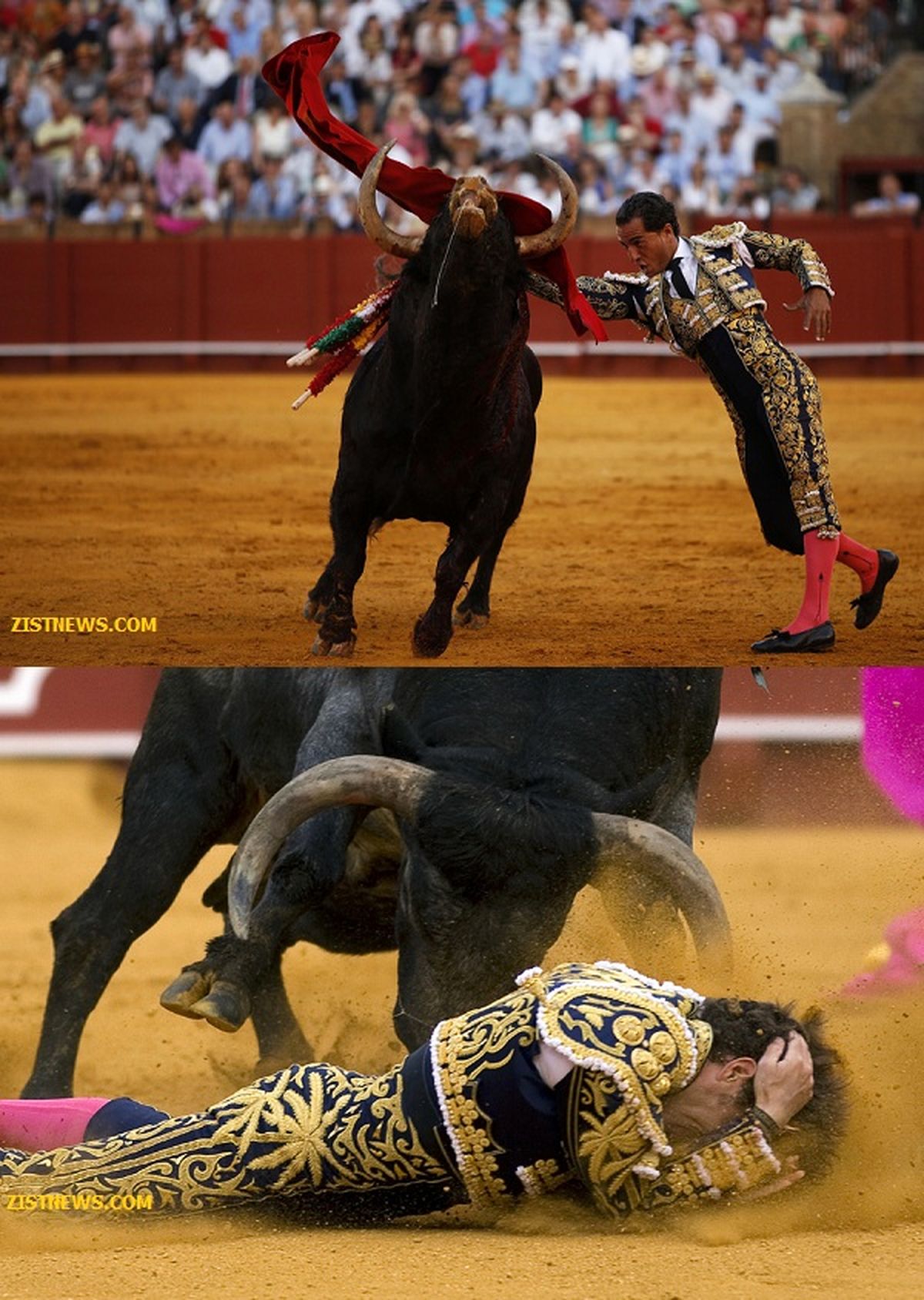 لحظه انتقام!/تصاویر