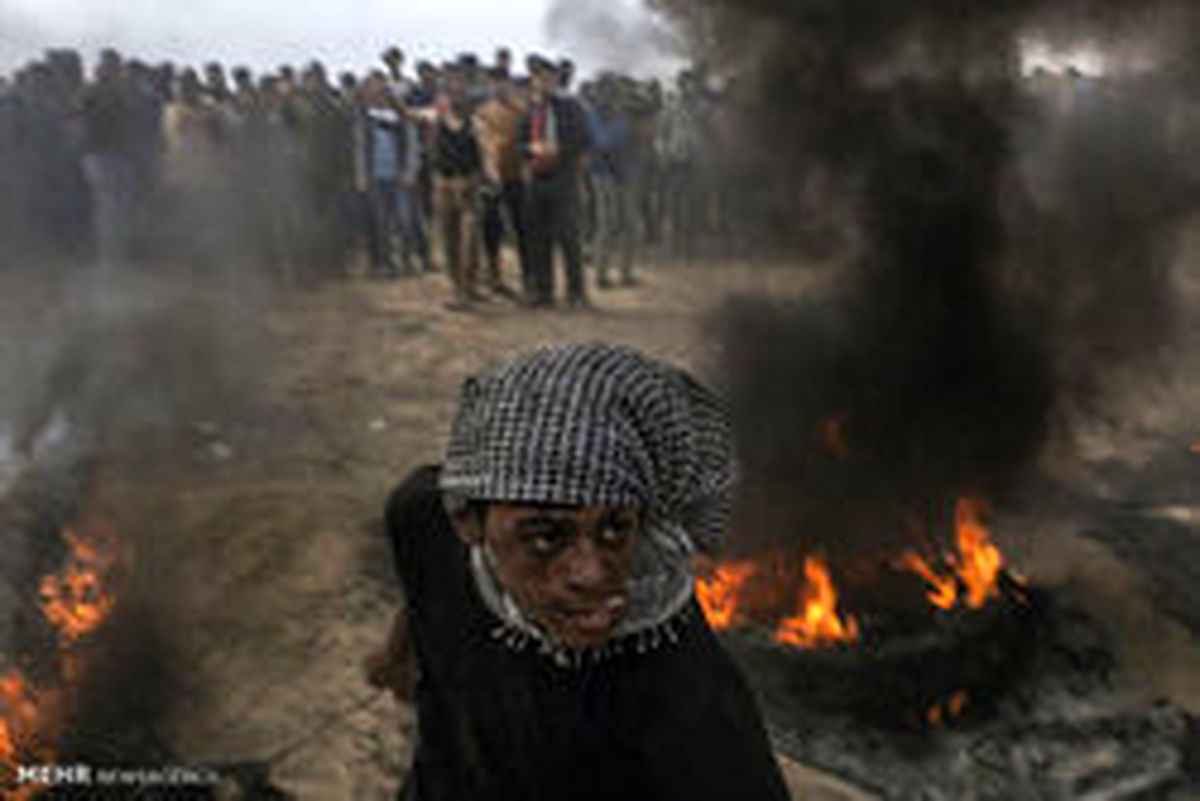 ۱۵ زخمی در تیراندازی صهیونیستها به فلسطینیها