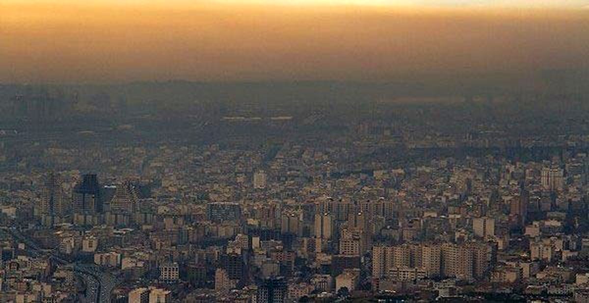 پاکی در میان دو آلودگی!/ عکس