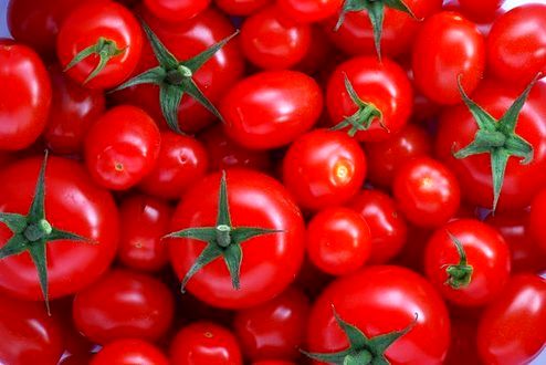 هرکیلو گوجه فرنگی در میادین؛ ۱۱ هزارتومان
