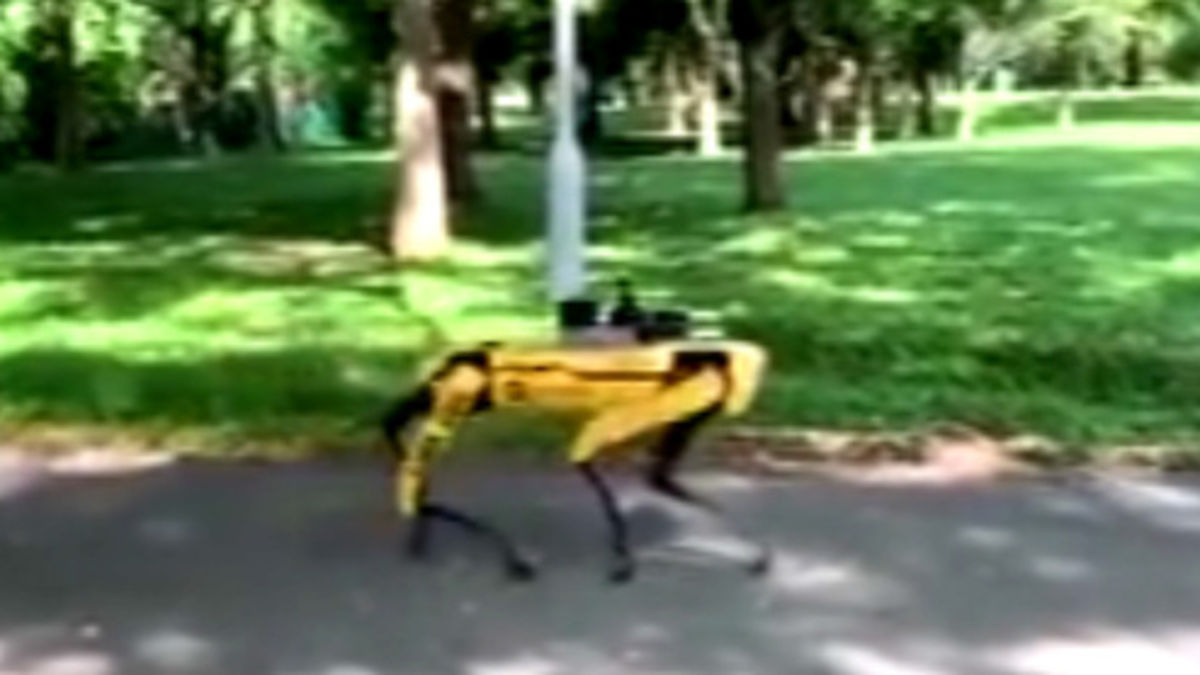 ربات عجیب مسئول طرح فاصله گذاری اجتماعی! +فیلم