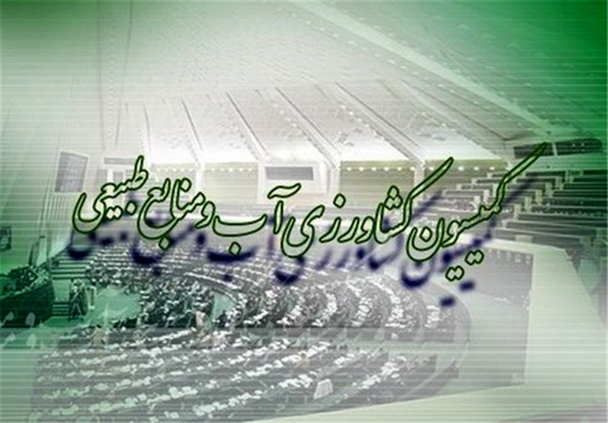 وزرای دولت برای توضیح درباره علت گرانی مرغ به مجلس نرفتند