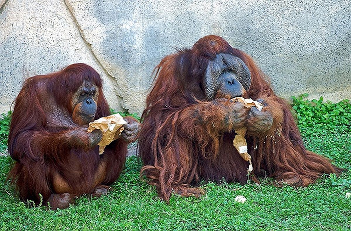 تصاویر/بدون شرح