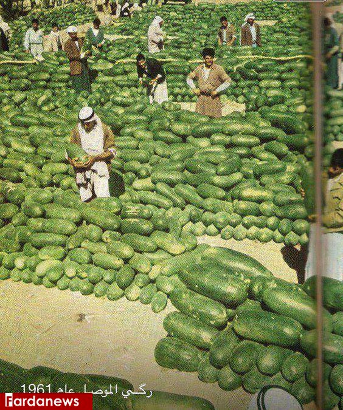 عکس: بازار بزرگ هندوانه در عراق