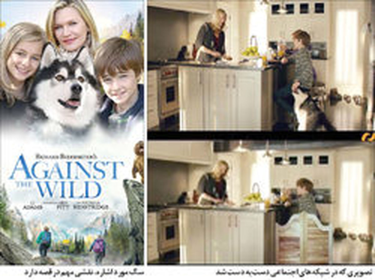 ممیزی سگ، کار دست تلویزیون داد! +عکس