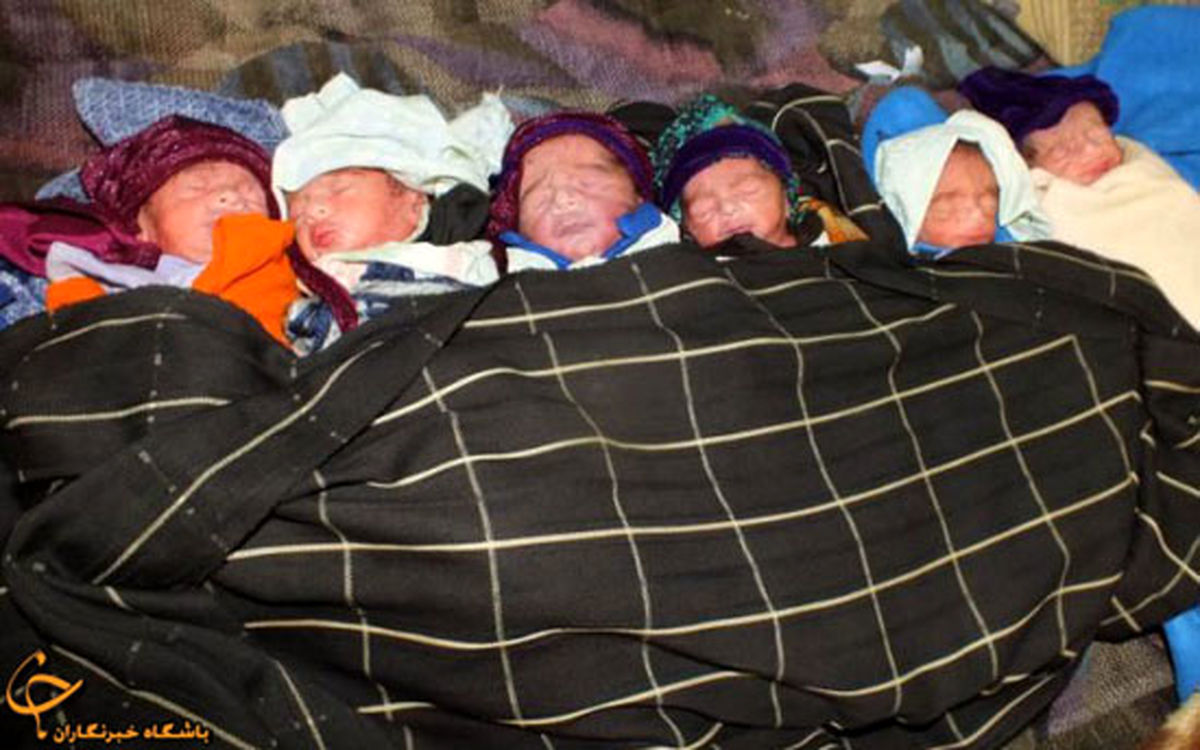 شش قلوهای پاکستانی