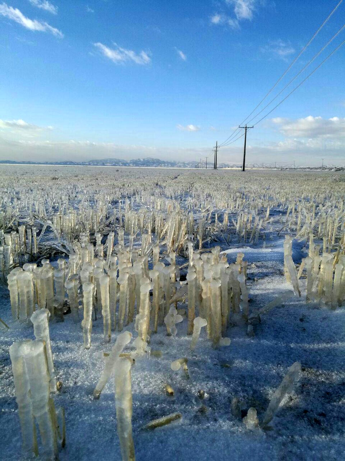 عکس: پدیده نادر «مزرعه یخ» در کلیدر خراسان