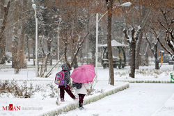 بارش برف و باران در ۷ استان