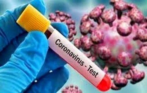 ممنوعیت واردات حیوانات از کشور‌های آلوده به کرونا