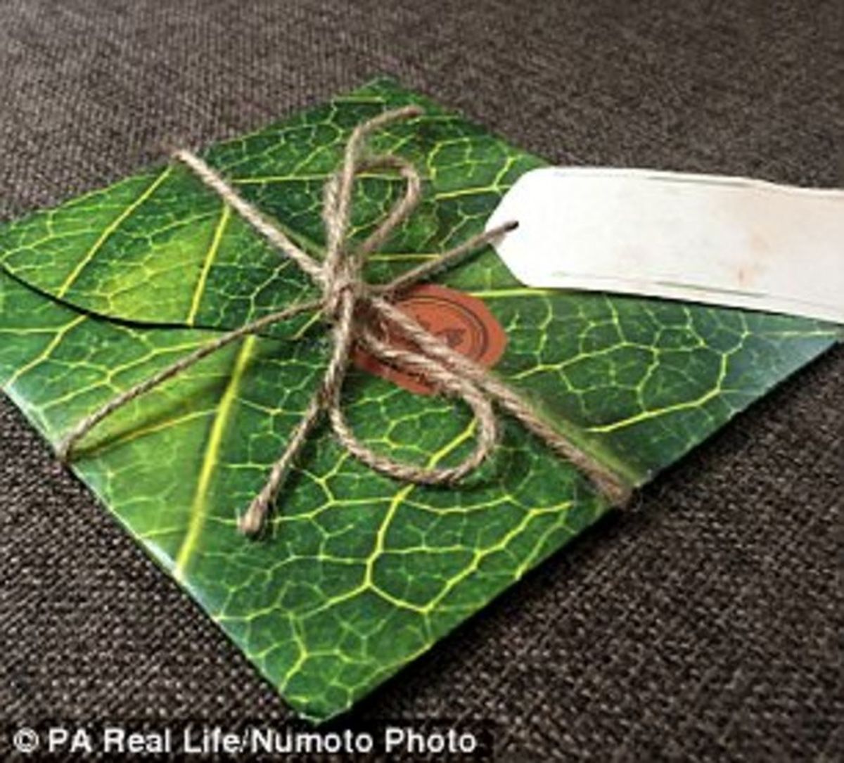 ازدواج زوج جوان به سبک سریال «تاج و تخت»! +تصاویر