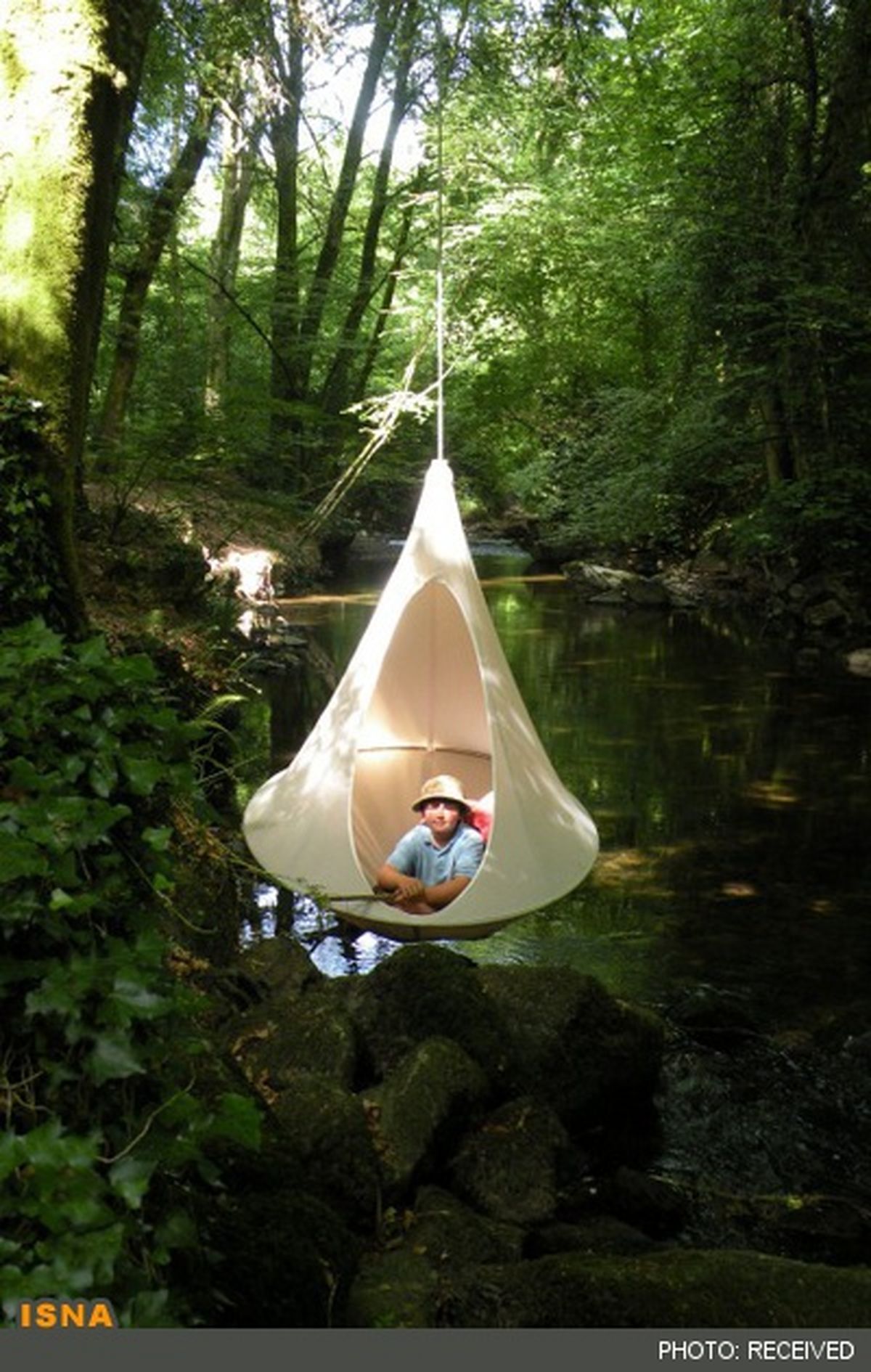 تجربه‌ای لذتبخش با چادر درختی/عکس