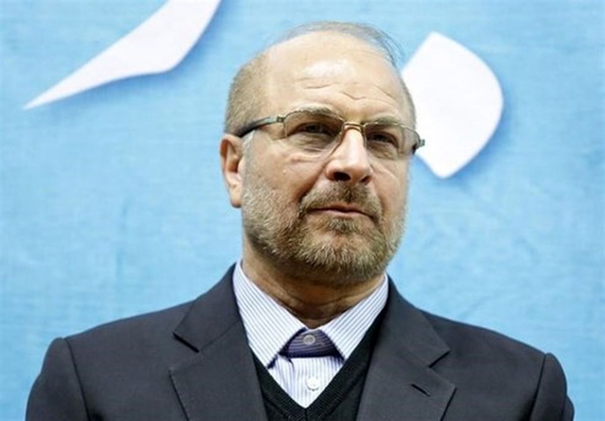 انتقاد رئیس مجلس از خصوصیسازی مدارس