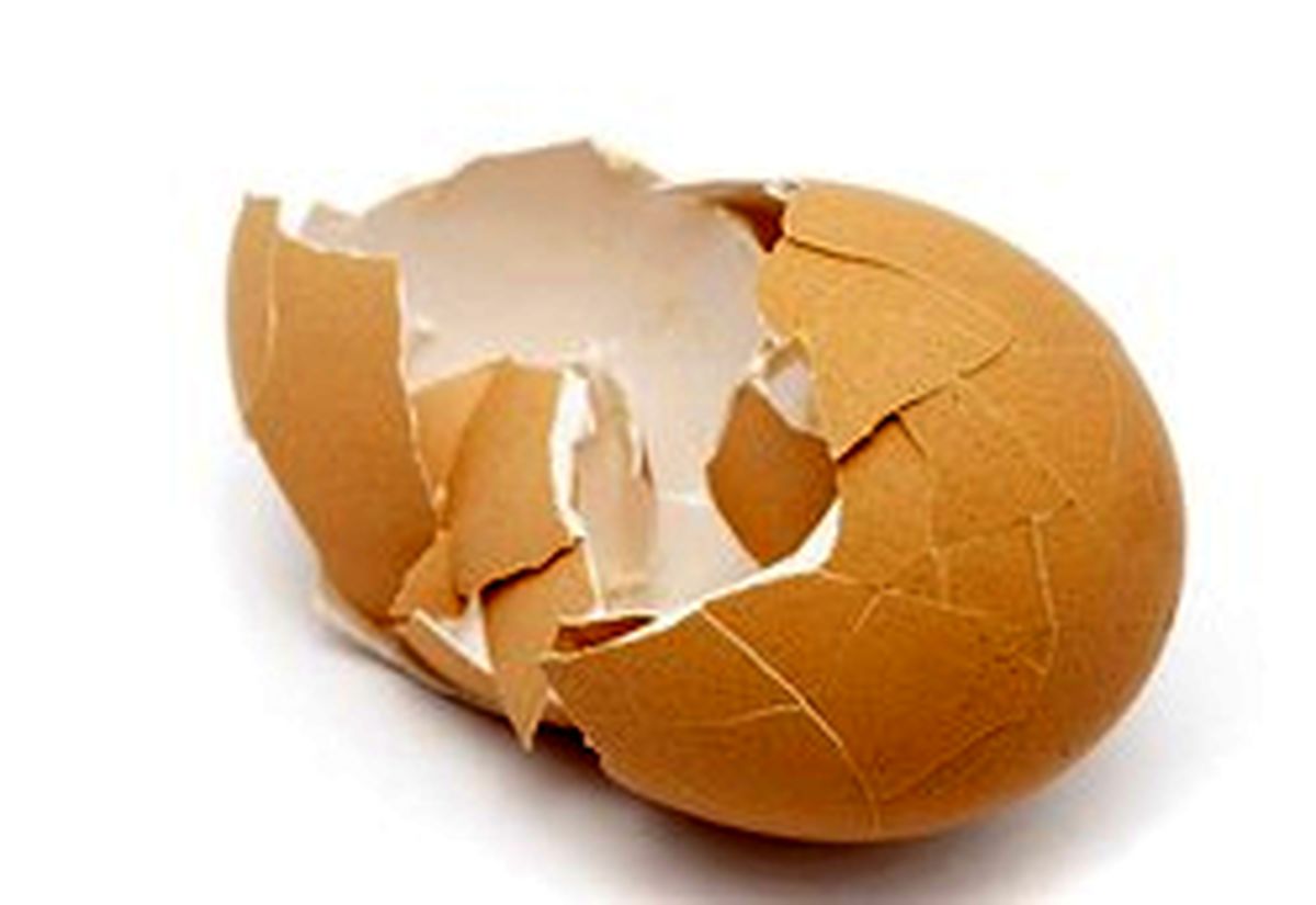 ۹ کاربرد جالب پوست تخم مرغ