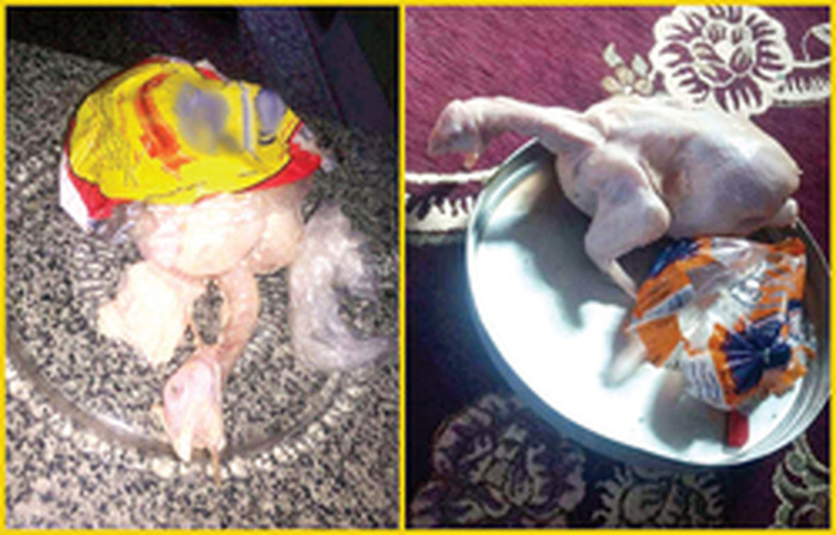 جنجال تصویر یک مرغ در فضای مجازی+عکس