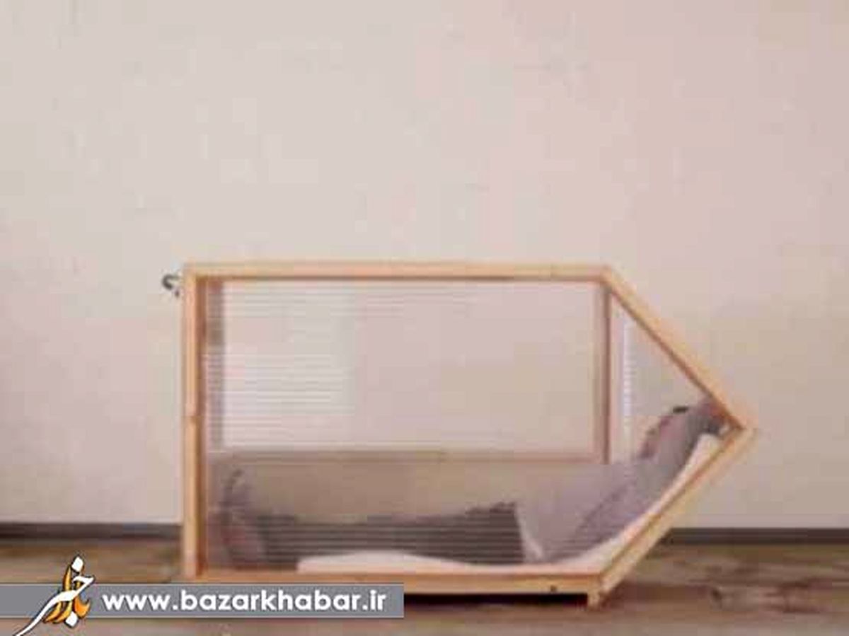 کوچکترین خانه جهان/عکس