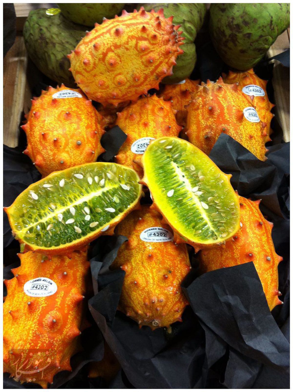 عکس: خیاری که تا بحال نخورده اید!