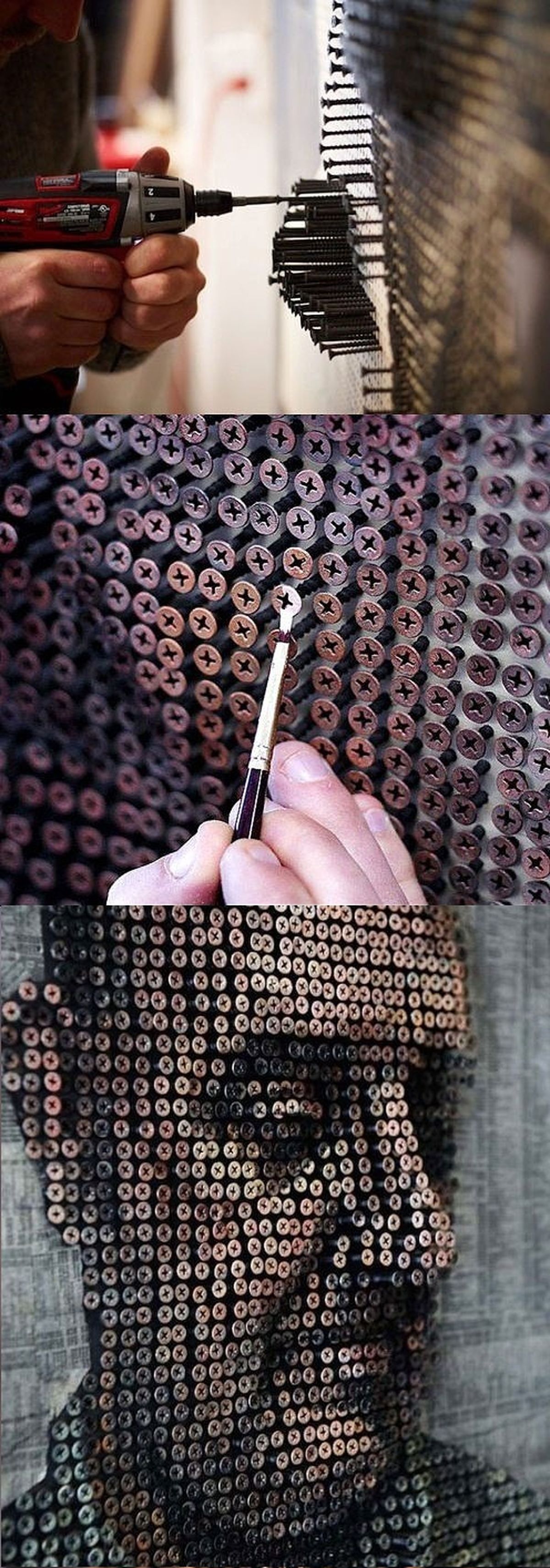 هنرمندی با پیچ!/تصاویر