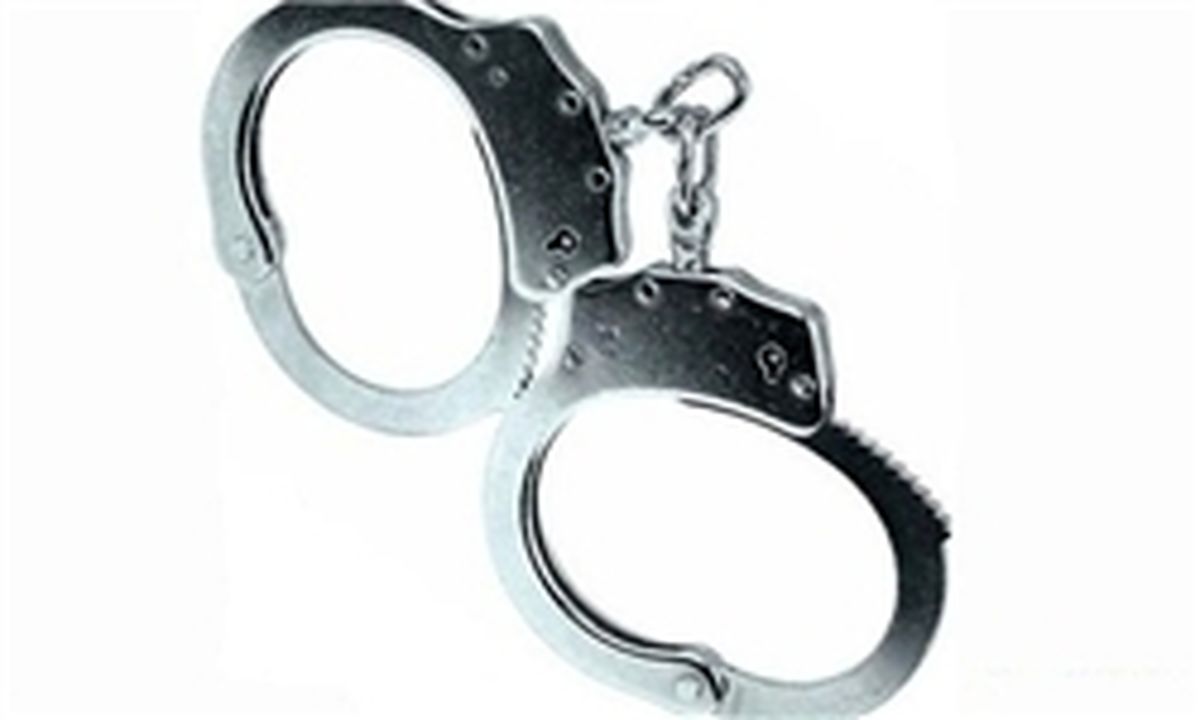 مأموران قلابی، مهاجران غیرقانونی را ربودند