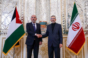 دیدار وزیر خارجه اردن با علی باقری