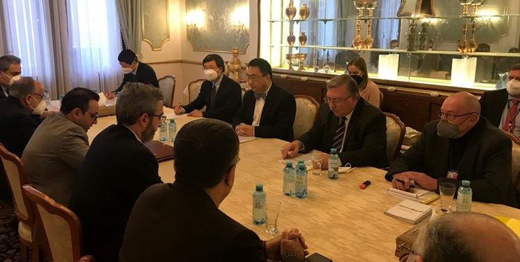 رایزنی برجامی هیأت‌های ایران، روسیه و چین در وین +فیلم