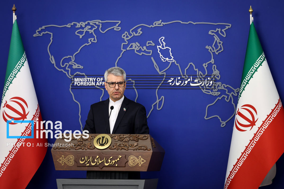 واکنش وزارت خارجه به شکنجه شهروند سوئدی حامی فلسطین 