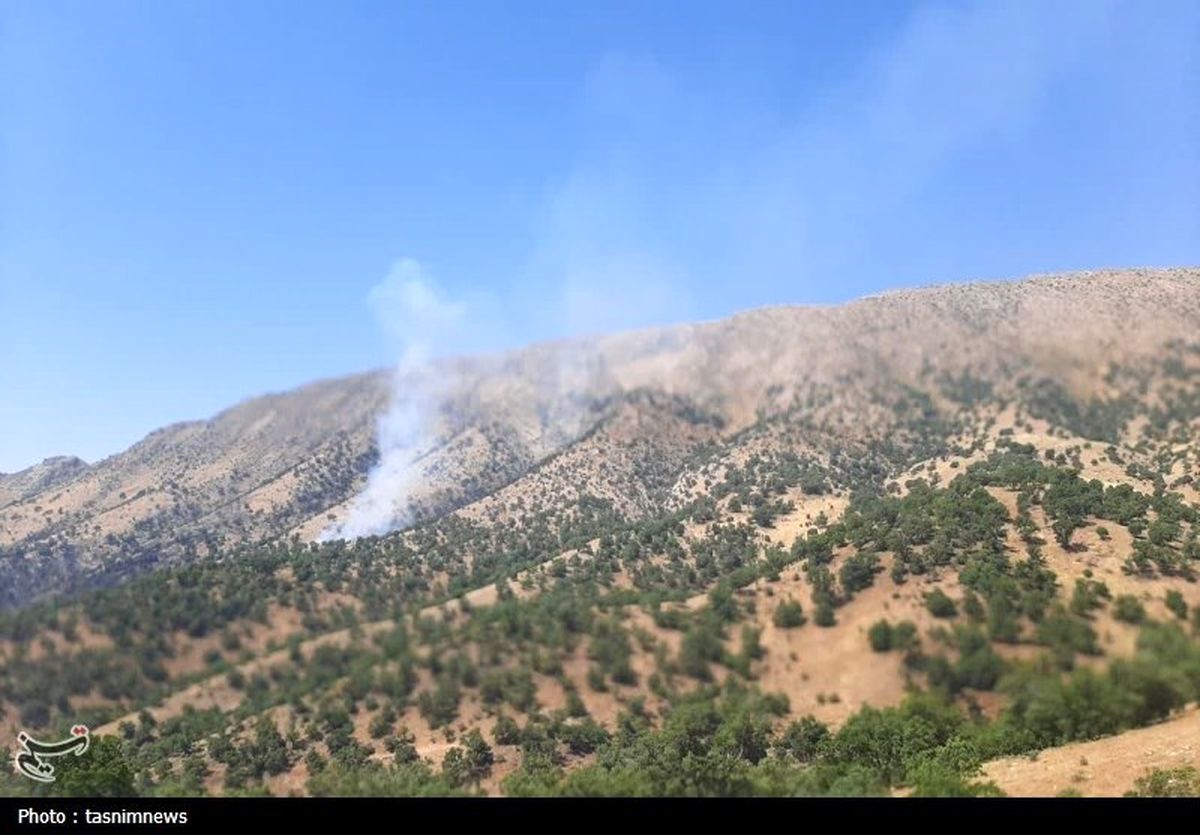 جنگل‌های «باشت» همچنان در آتش می‌سوزد