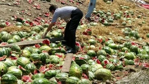 ترکیه هندوانه‌های ایرانی را امحا کرد