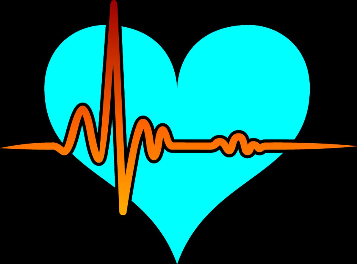 برای سفر با قلب بیمار این نکات را فراموش نکنید