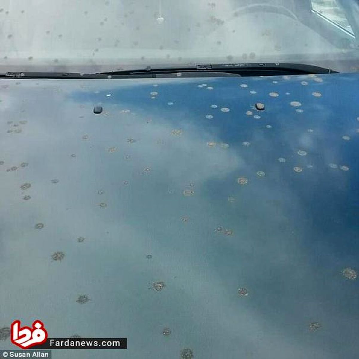 تصاویر: ریزش فضولات انسانی از هواپیما!