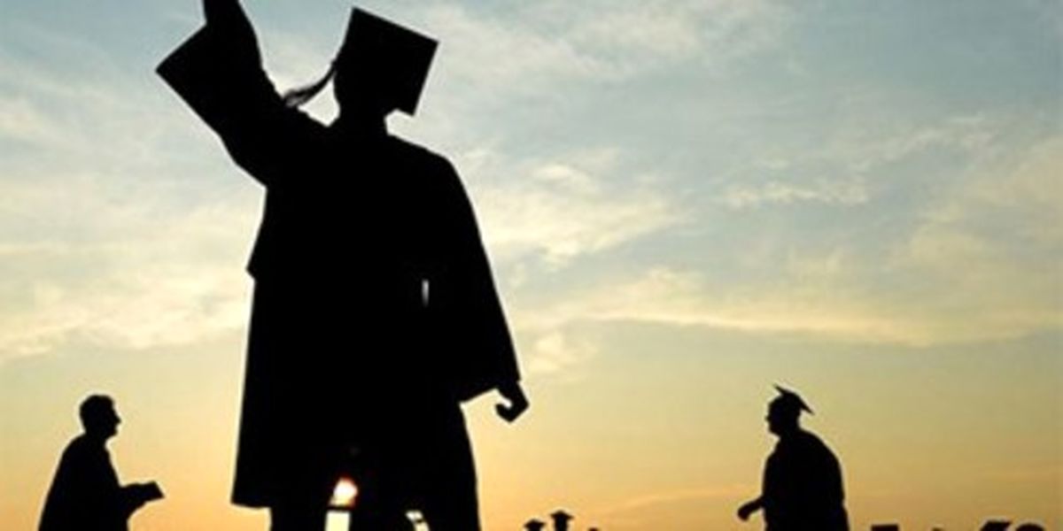 «سلطان جعل مدرک» در چنگال قانون +فیلم