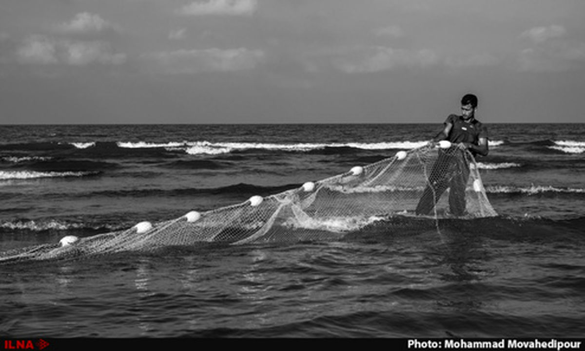 تصاویر: ماهیگیران شمال